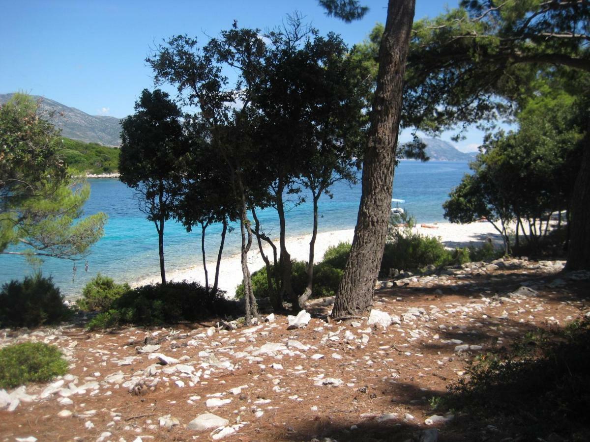 Apartment Κόρτσουλα Εξωτερικό φωτογραφία